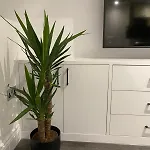 Aquila House * Saint Helier Jersey