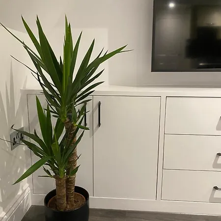 Central&trendy - Aquila House * Saint Helier Jersey