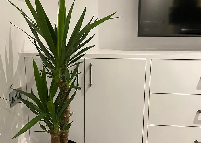 Central&trendy - Aquila House * Saint Helier Jersey